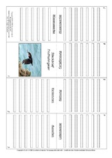 Faltbuch-Truthahngeier.pdf